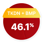 TKDN 46.1